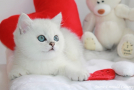 IMG_9384=.jpg