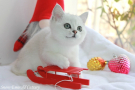 IMG_0962=.jpg