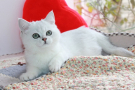 IMG_1268=.jpg