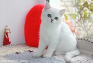 IMG_1032=.jpg