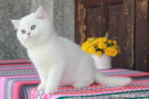 IMG_3627=.jpg