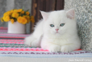 IMG_3646=.jpg