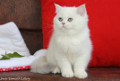 IMG_4193=.jpg