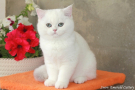 IMG_4769=.JPG