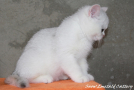 IMG_2394=.jpg