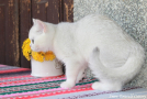 IMG_3466=.jpg