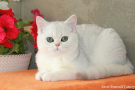 IMG_4934=.JPG