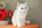 IMG_4951=.JPG