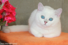 IMG_4693=.jpg