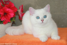 IMG_4712=.JPG