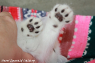 IMG_2053=.jpg