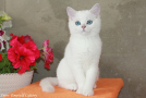 IMG_4976=.jpg