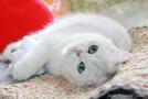 IMG_1190=.jpg