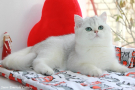 IMG_1362=.jpg