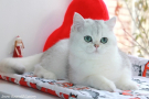 IMG_1363=.JPG
