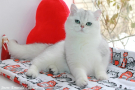 IMG_1399=.jpg