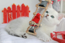 IMG_8749.jpg=.jpg