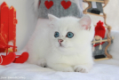 IMG_8245.jpg=.jpg