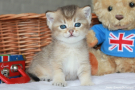 IMG_2066.jpg=.jpg