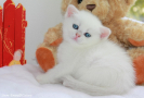 IMG_3328.jpg=.jpg