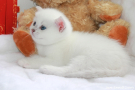 IMG_3007.jpg=.jpg