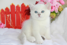 IMG_3821.jpg-=.jpg