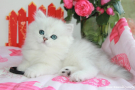 IMG_4167.jpg=.jpg