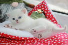 IMG_5750.jpg=.jpg