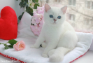 IMG_7622.jpg=.jpg