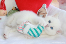 IMG_5824.jpg=.jpg