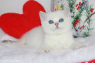 IMG_6428.jpg=.jpg