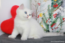 IMG_6327.jpg=.jpg