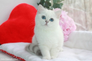 IMG_7542.jpg=.jpg