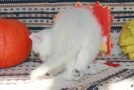 IMG_8338.jpg=.jpg