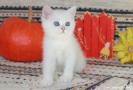 IMG_8391.jpg=.jpg