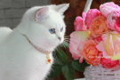 IMG_2213.jpg=.jpg