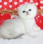 Leonard