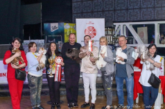 International Cat Show WCF, 13-14 Apr 2024, Kyiv, Ukraine.